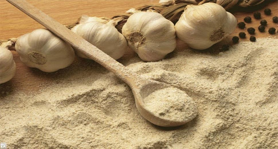 Properties of garlic powder
